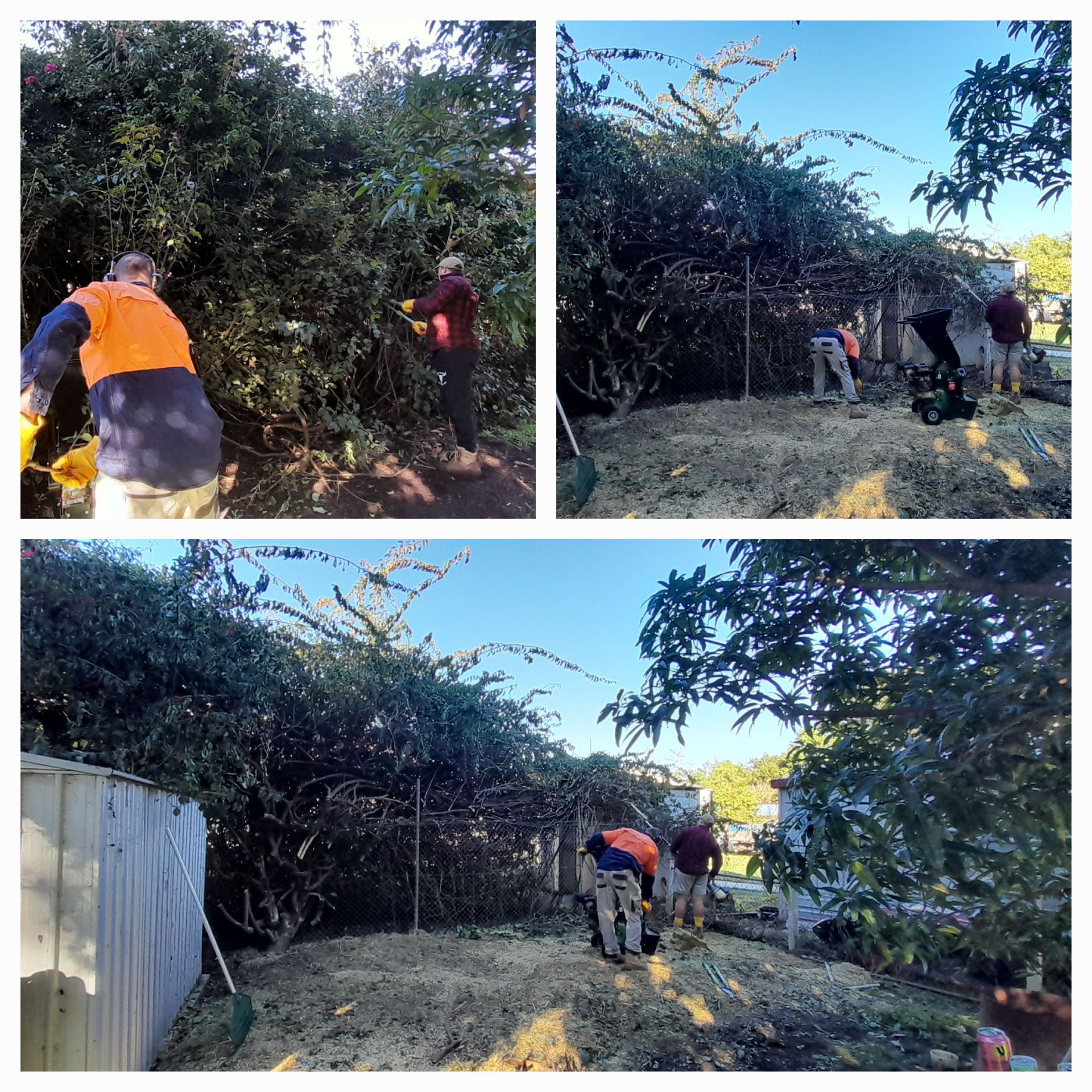 A Collage Of Four Pictures Of People Working In A Yard — McCarthys Property Services in Glenugie, NSW