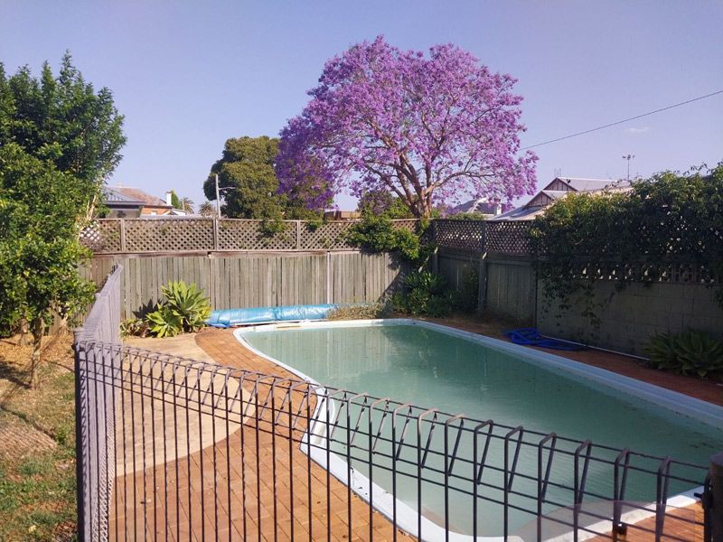 A Fence Surrounds A Swimming Pool With A Purple Tree In The Background Before — McCarthys Property Services in Glenugie, NSW