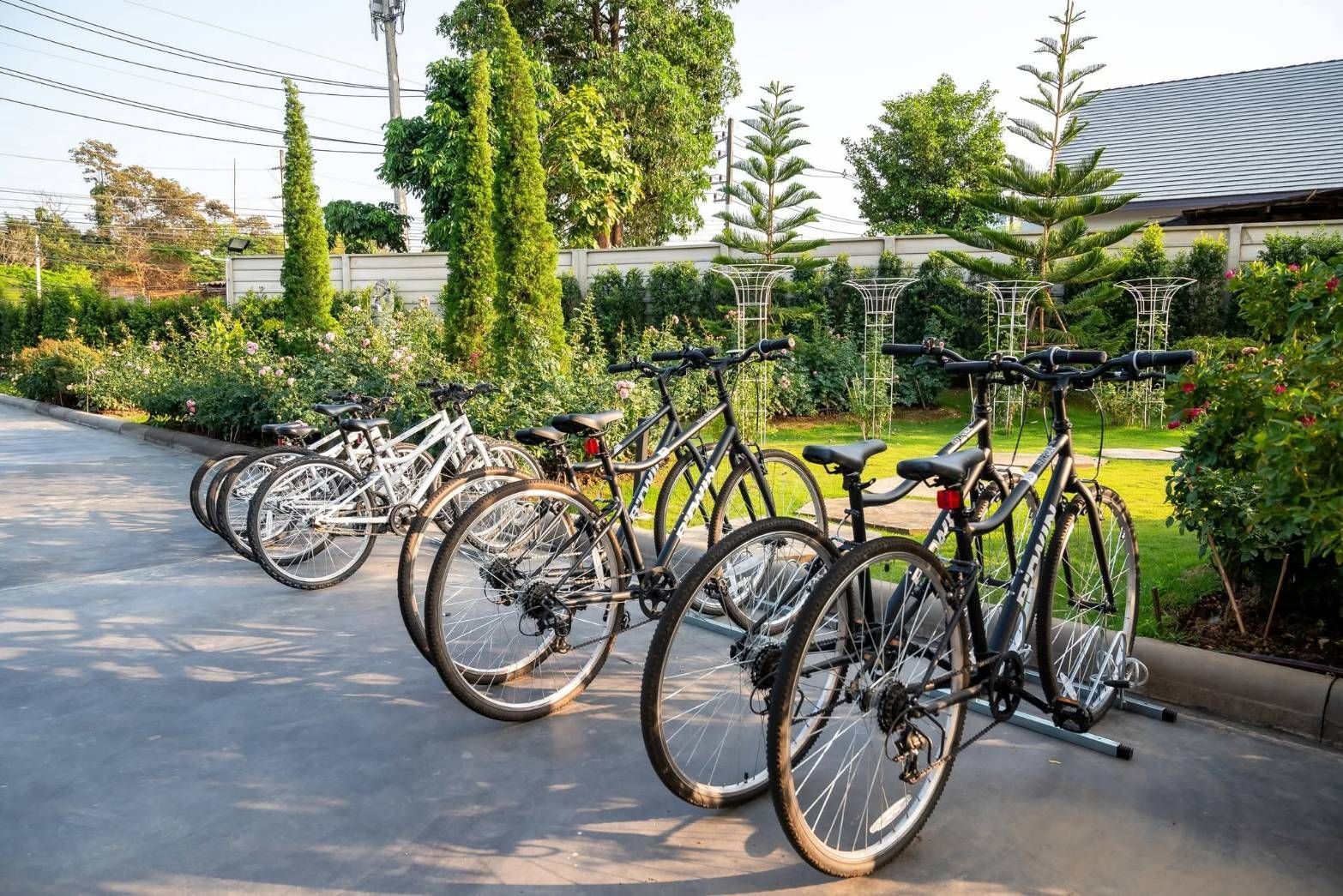 Bicycles parked in a row beside a landscaped path on a sunny day
