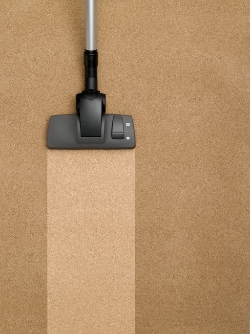 Carpet Cleaning & Floor Cleaning Erie, PA Peterson's Property