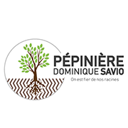 Logo de Pépinière Dominique Savio avec un arbre vert et des racines apparentes en texte brun et noir