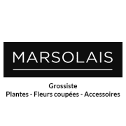 MARSOLAIS logo with “Grossiste” and “Plantes - Fleurs coupées - Accessoires” on a black-and-white sign