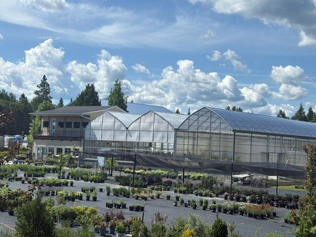 Une allée lumineuse de supérette avec des étagères remplies de snacks, de boissons et de produits ménagers.