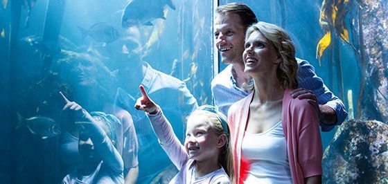 Sealife Centre