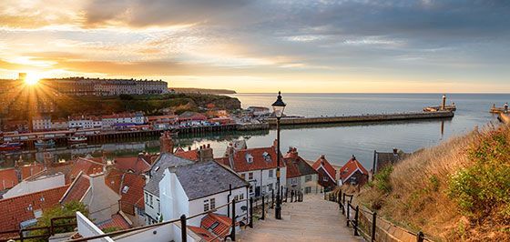 Whitby Museum