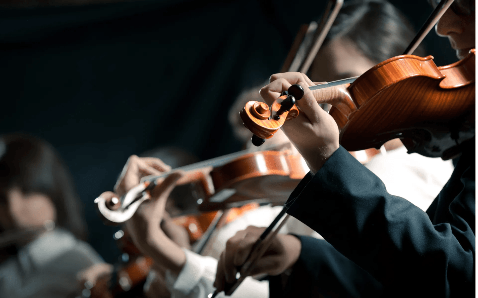 Spéctacle de violons. Bouchons pour musiciens, chanteurs, DJ ou les adeptes de spectacle