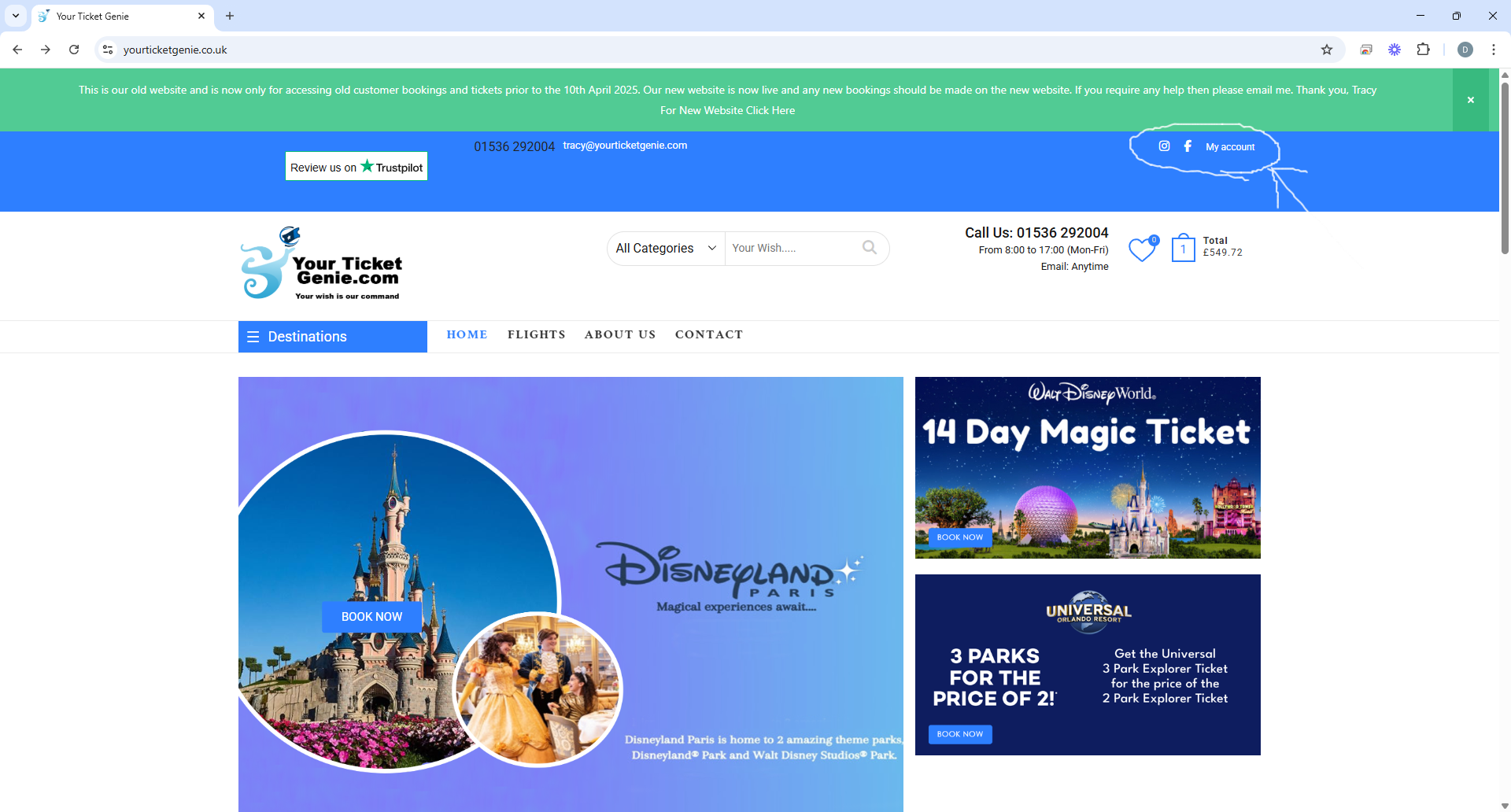 Disneyland website homepage with blue banner, castle photo, and “1 Day Magic Ticket” promotion