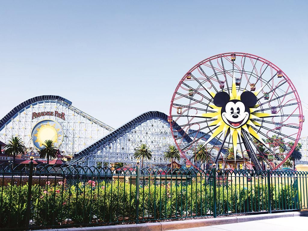 A roller coaster and a ferris wheel at an amusement park