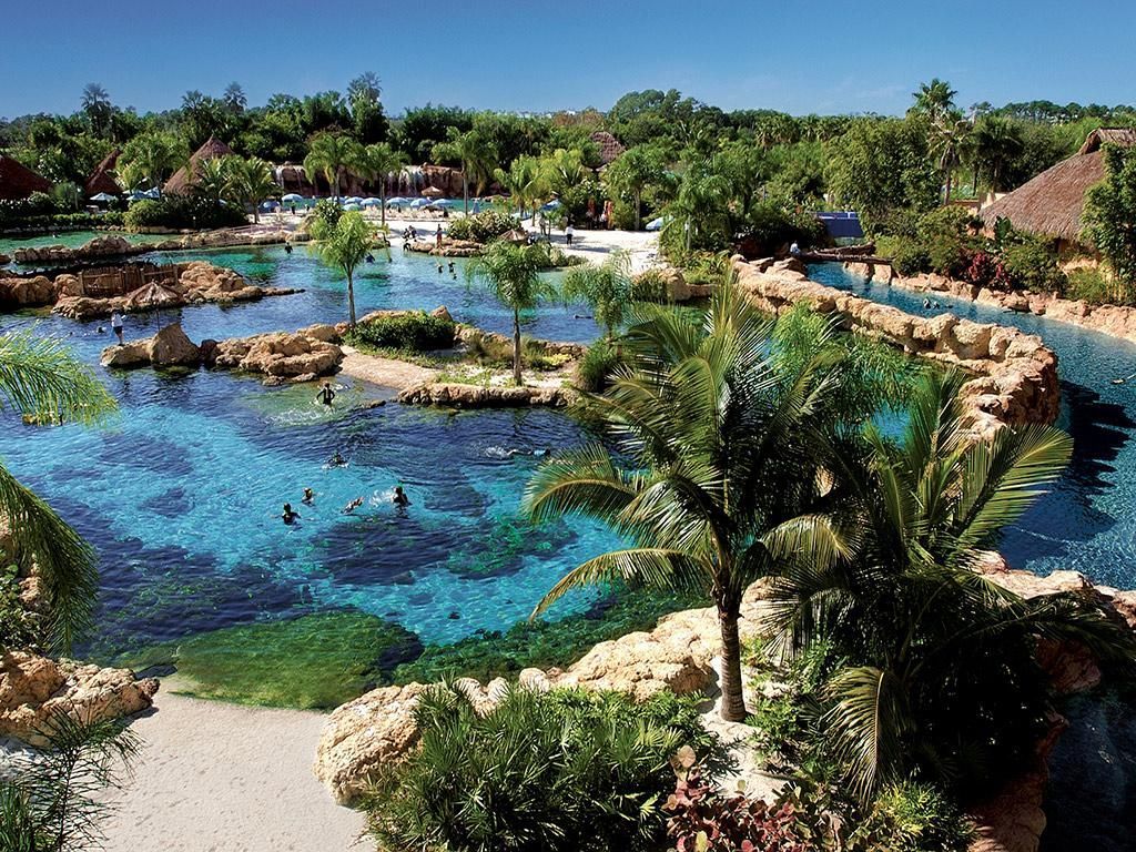 A large body of water surrounded by palm trees