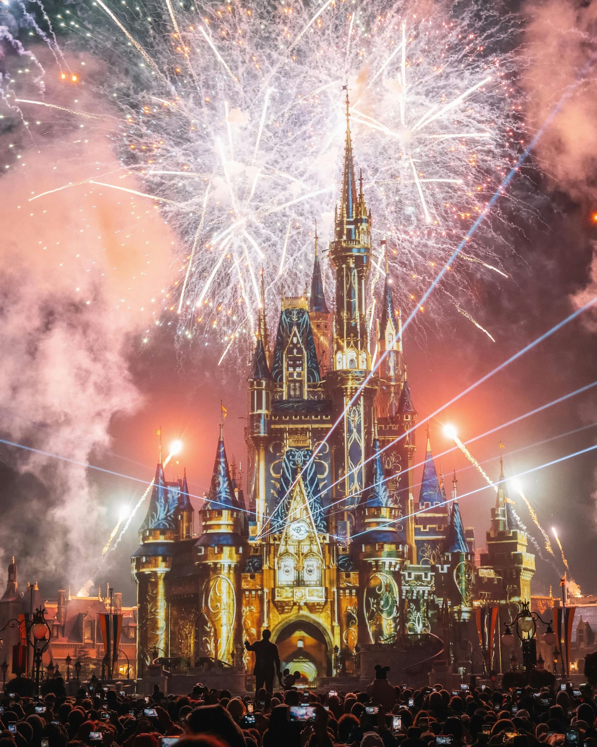 A crowd of people are watching fireworks over a castle.