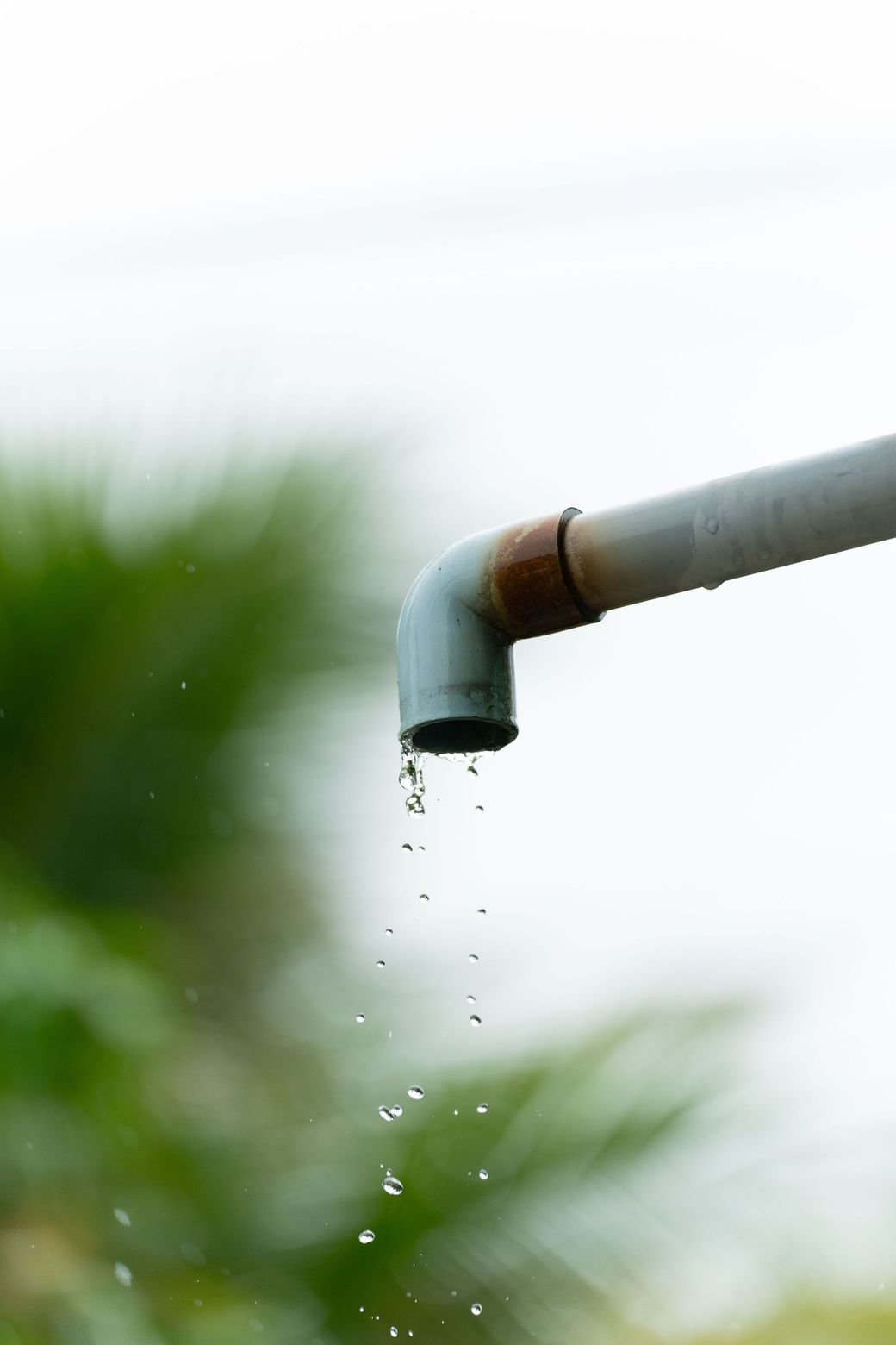 Close-up of a metal pipe dripping water outdoors, with blurred green foliage in the background