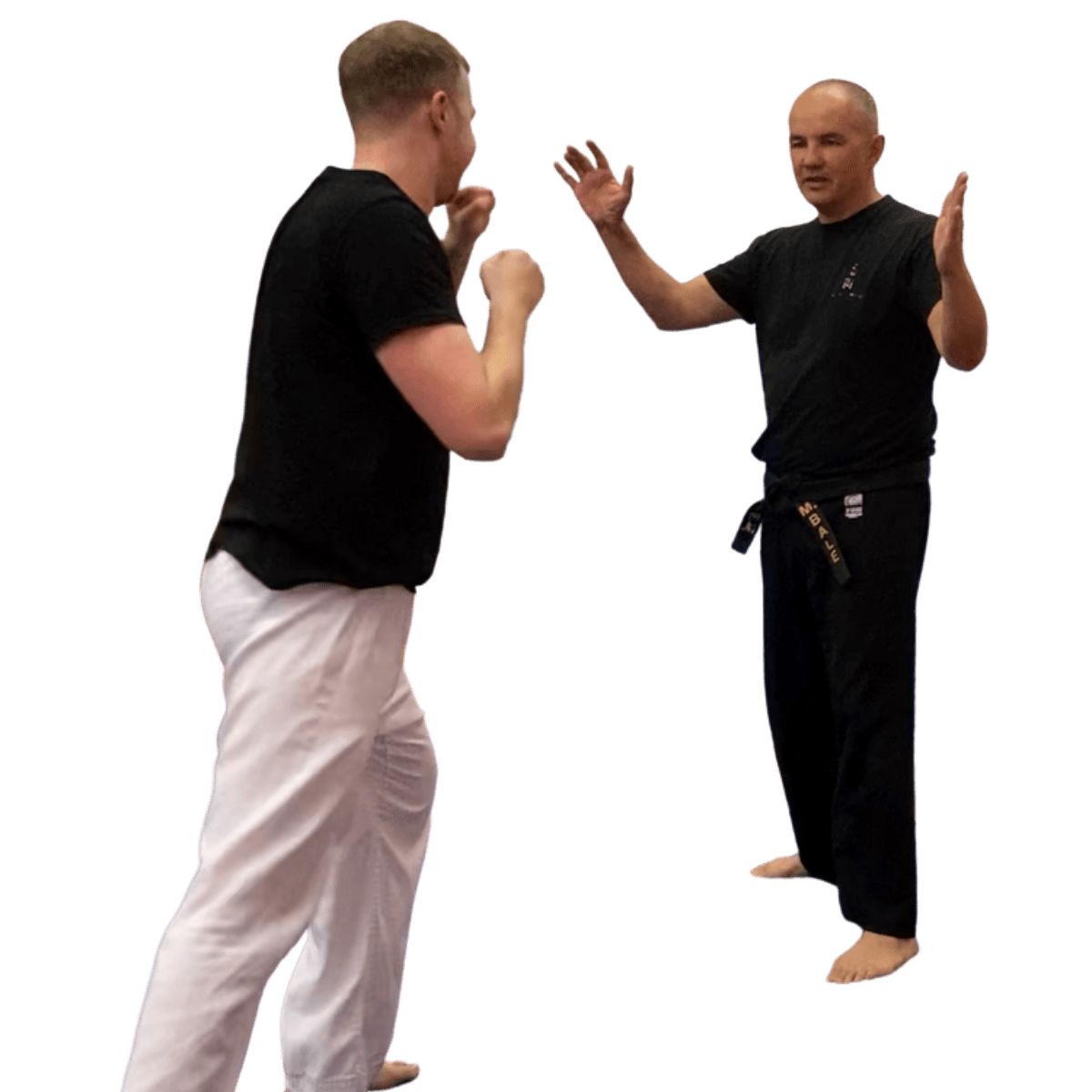 Ju Jitsu Techniques