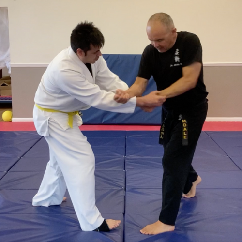 The Benefits of Ju Jitsu