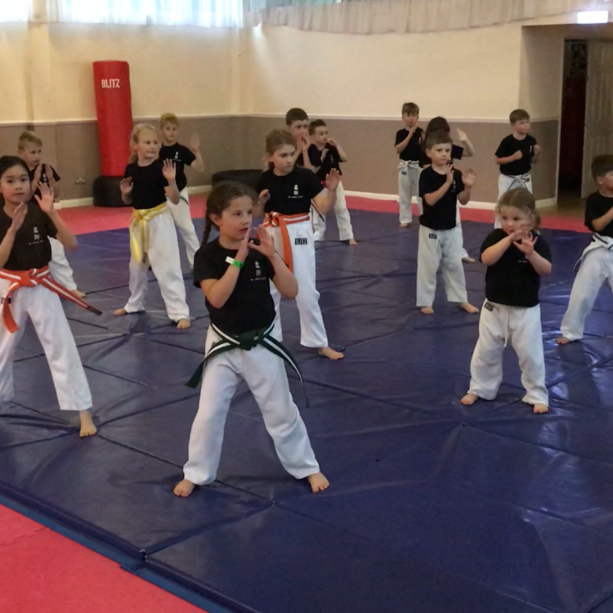 A group of kids are practicing martial arts on a mat