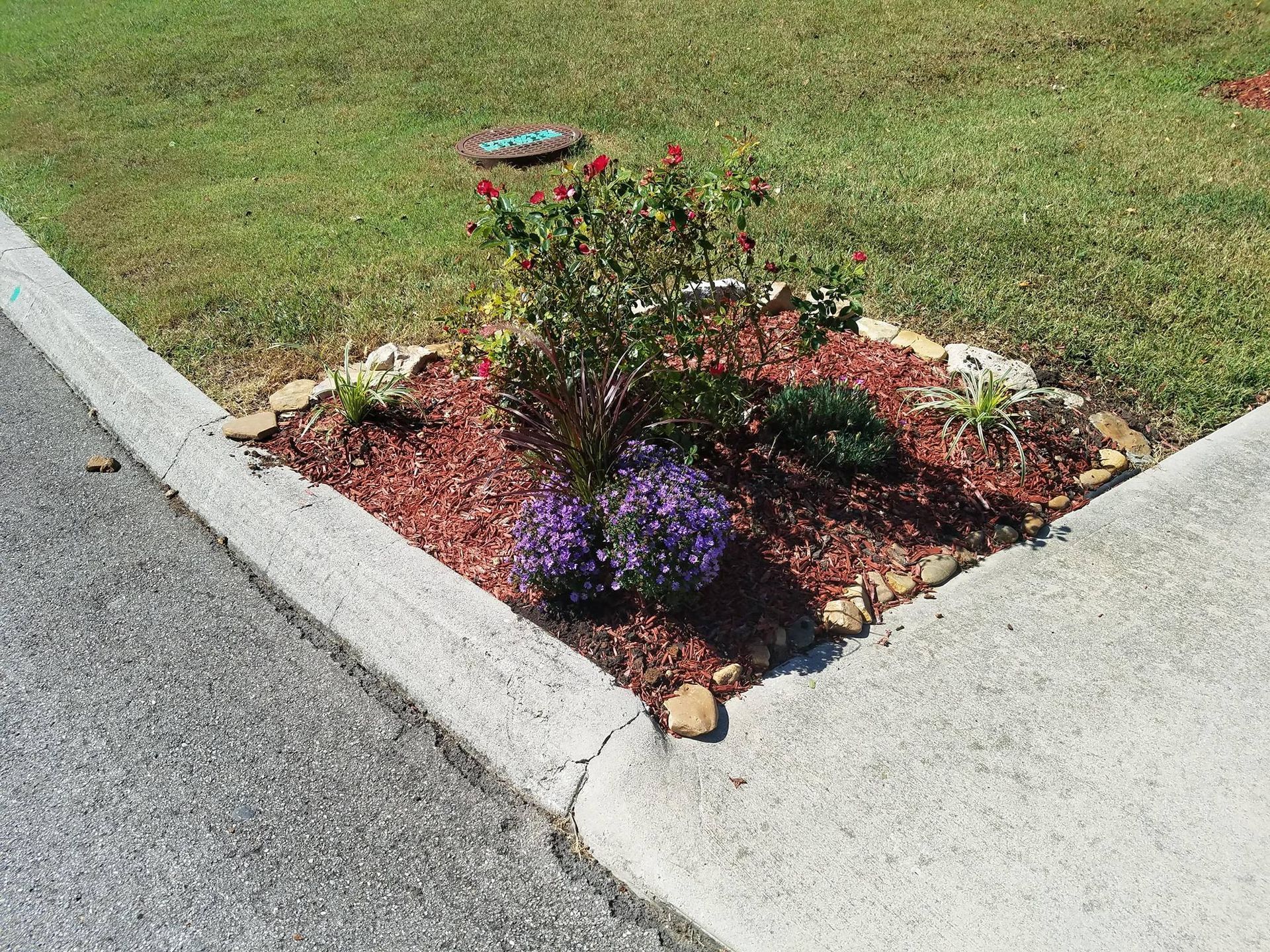 A corner of a sidewalk with flowers and mulch on it