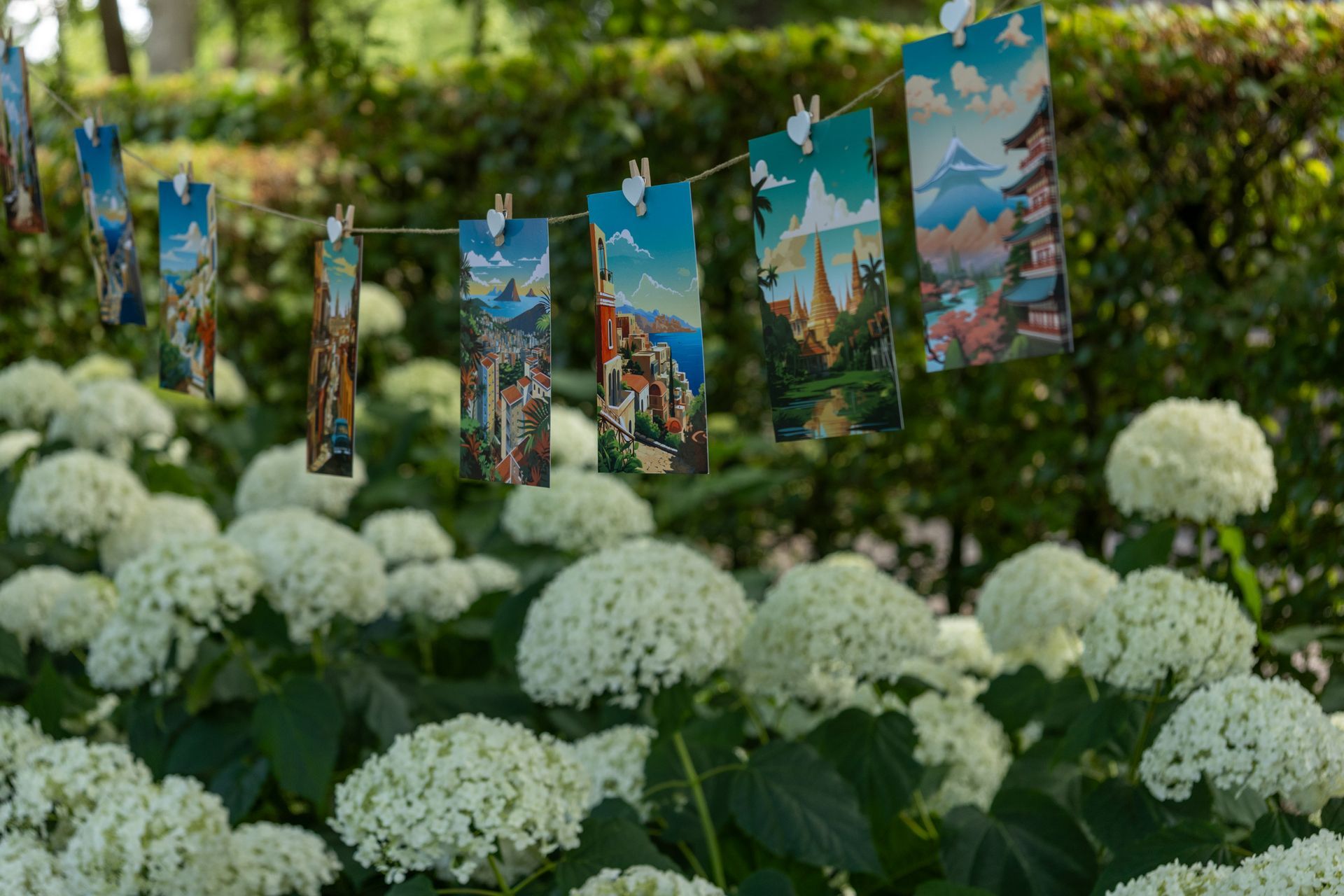 Bloemenfoto's zijn boven een lijn boven witte hortensia's in een tuin geknipt.