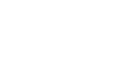 logo-image