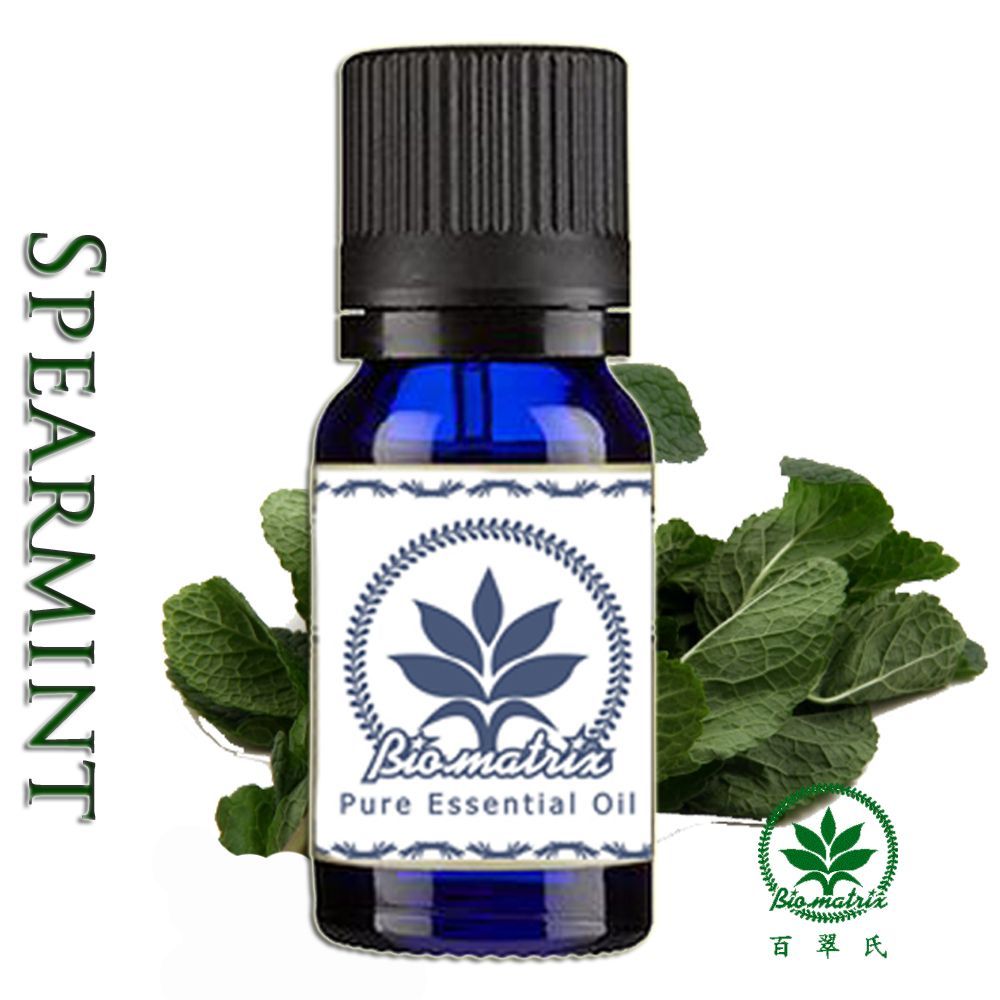 綠薄荷留蘭香Spearmint純精油10ml環境擴香、空間調理使用