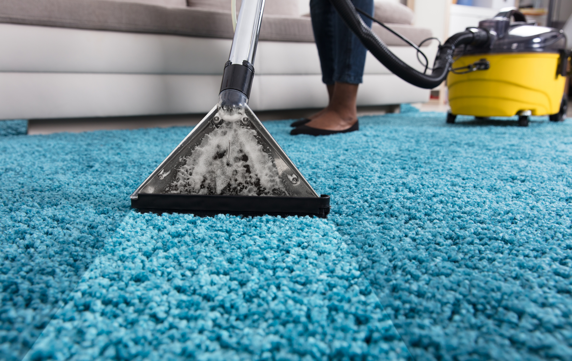 best carpet cleaners near me edmonton