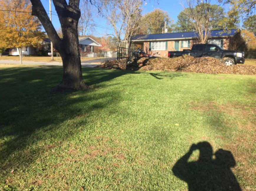 leaf removal