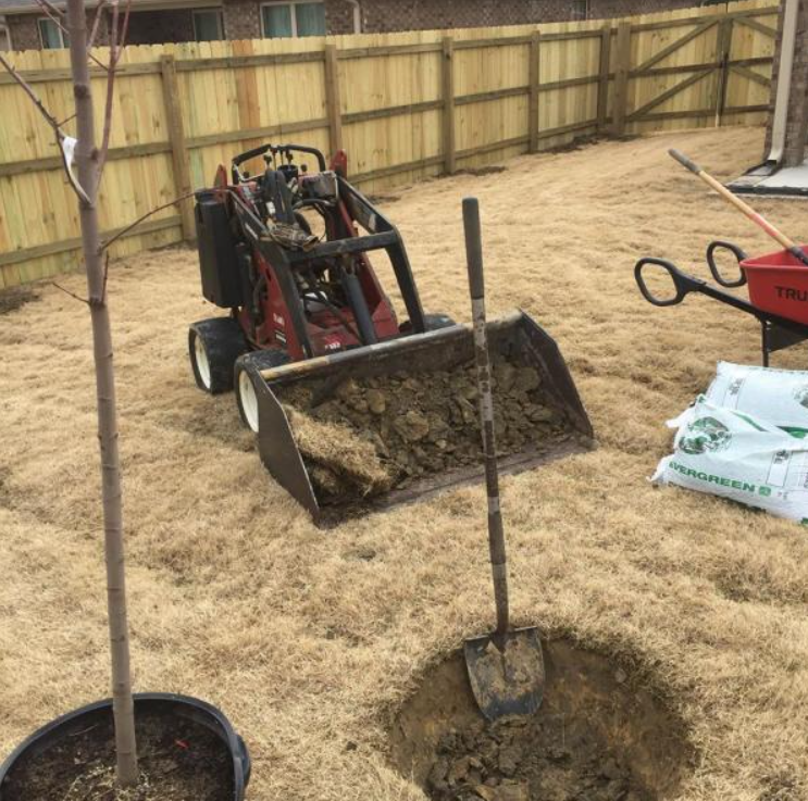 landscaping