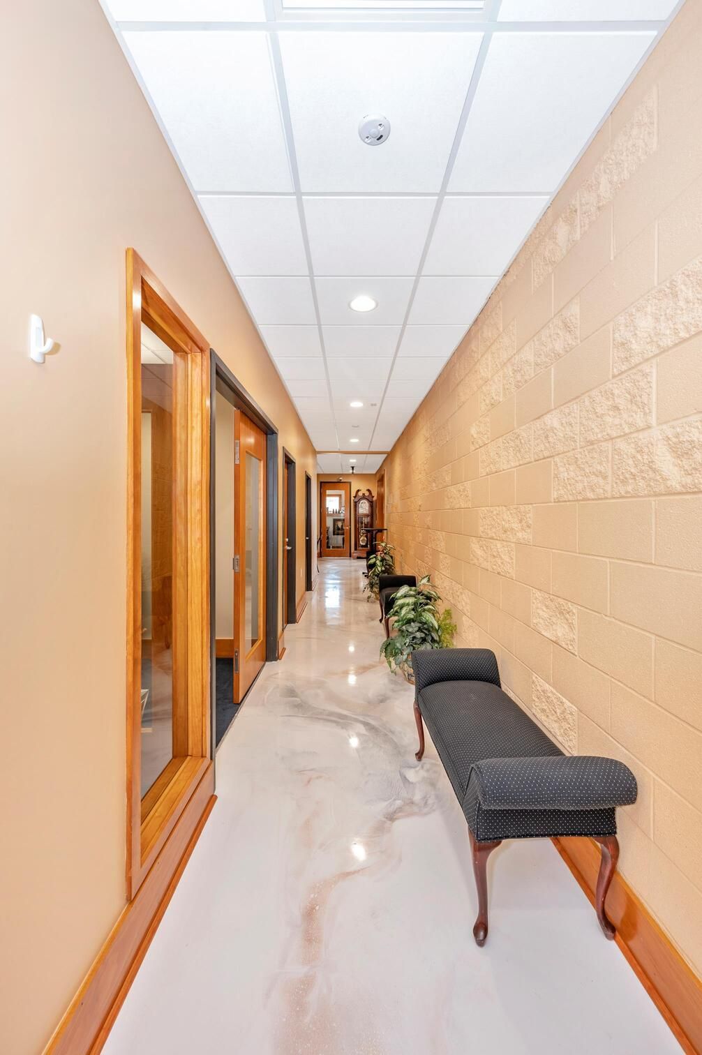 Long hallway with beige walls, wood trim, white ceiling tiles, and a bench with plants along the right side.