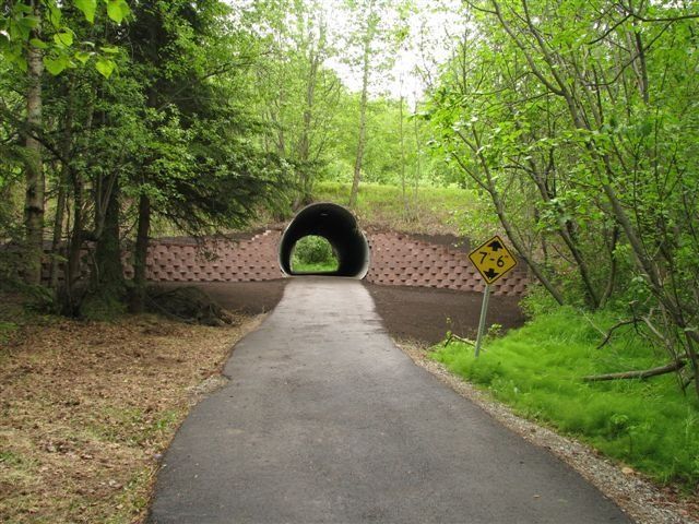 Paved path leading into a tunnel under a hill, surrounded by trees and greenery.