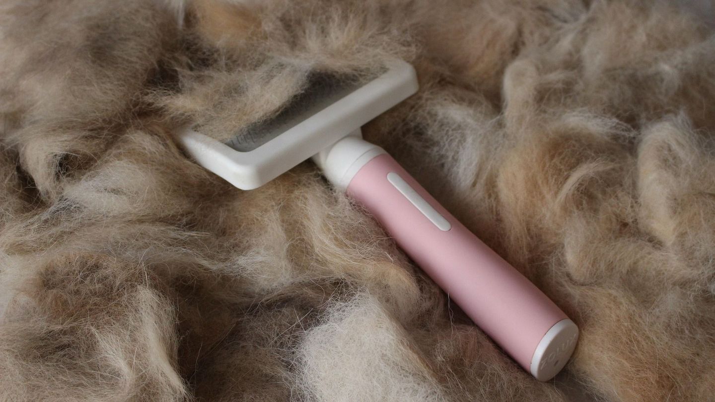 De-shedding and de-matting services available