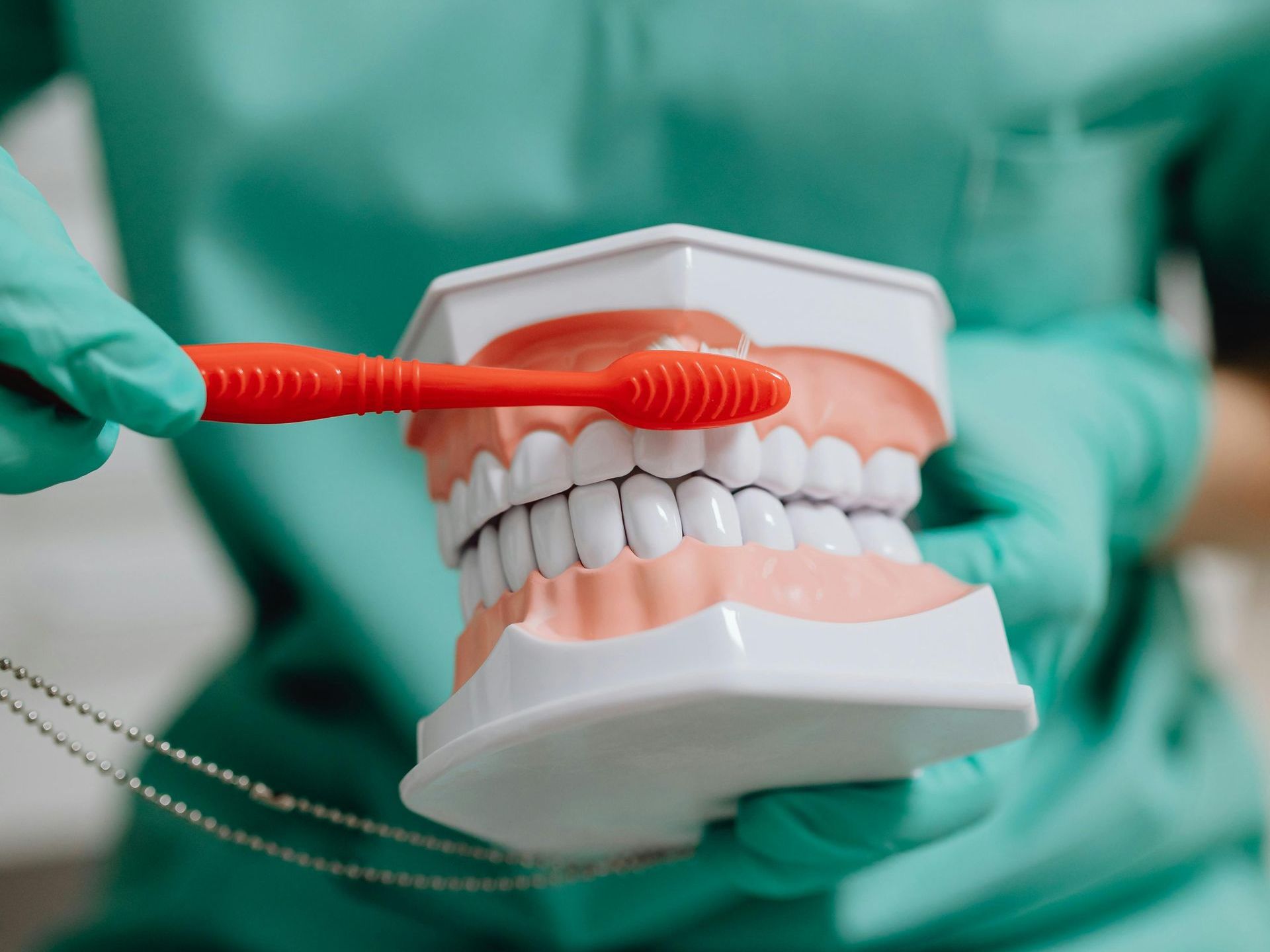 Dentist demonstrating teeth brushing on a model with a red toothbrush, wearing green gloves.
