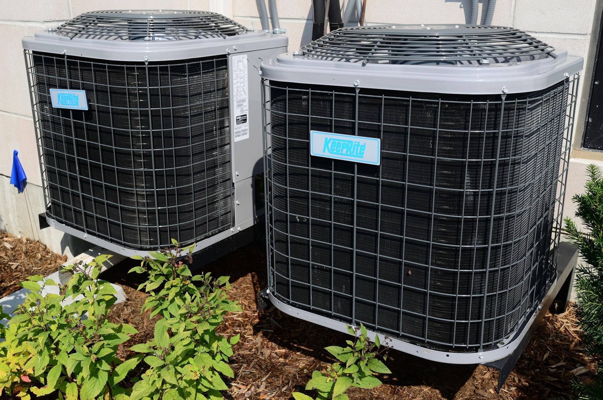Two outdoor air conditioning units near shrubs.