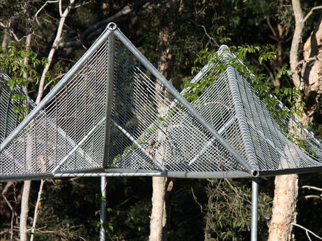 Metal pointed fence in woods