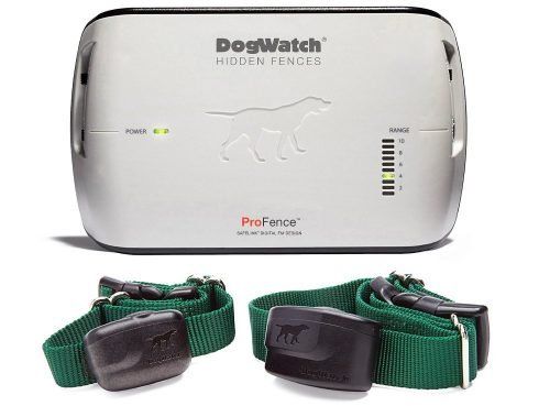 A dogwatch hidden fence with two collars next to it