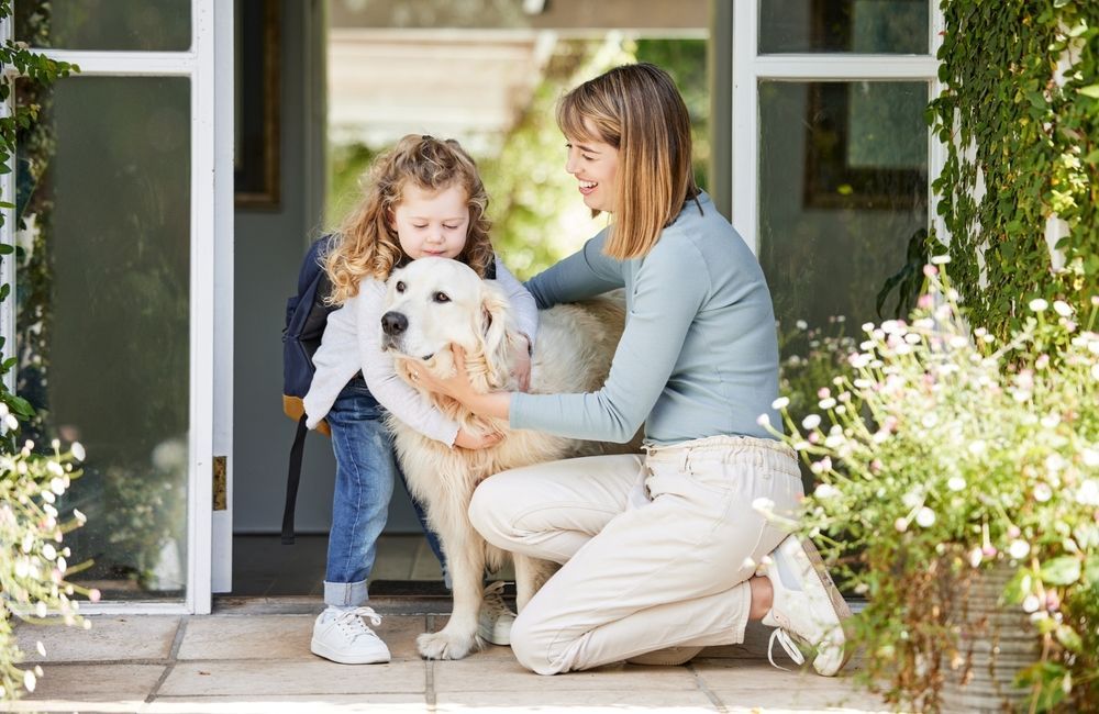 DogWatch Fence Technology