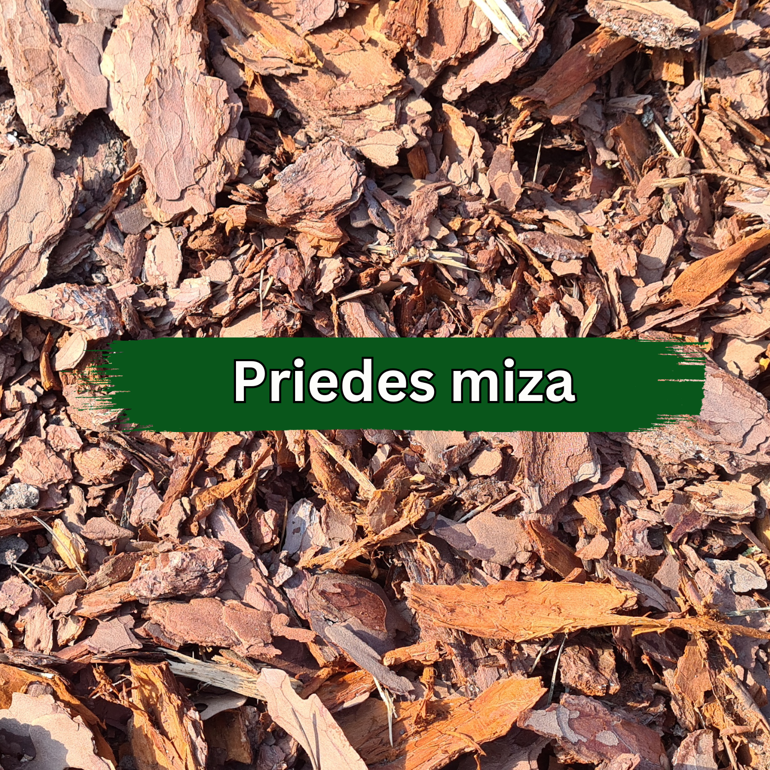 Priedes mulča