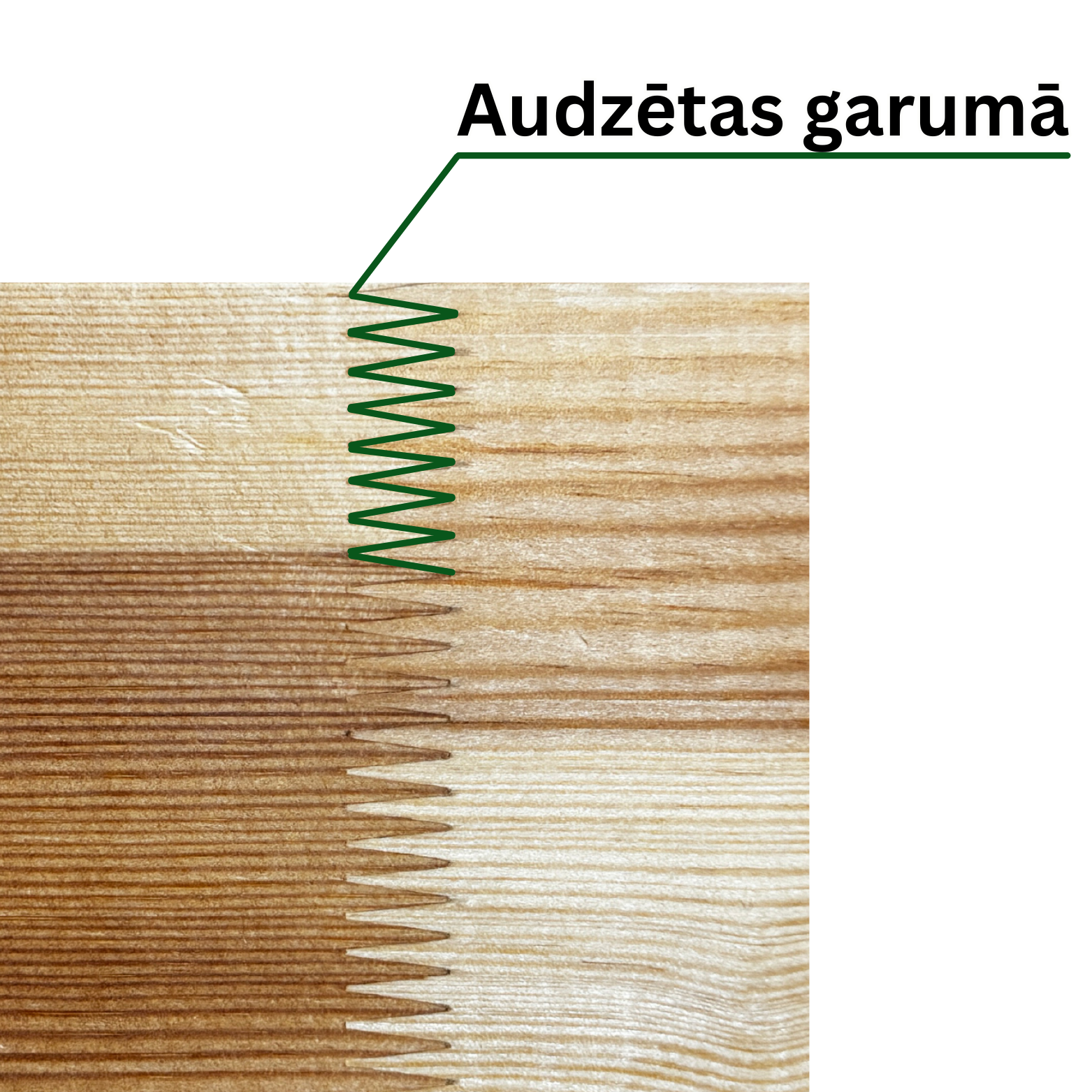 Logu Brusas