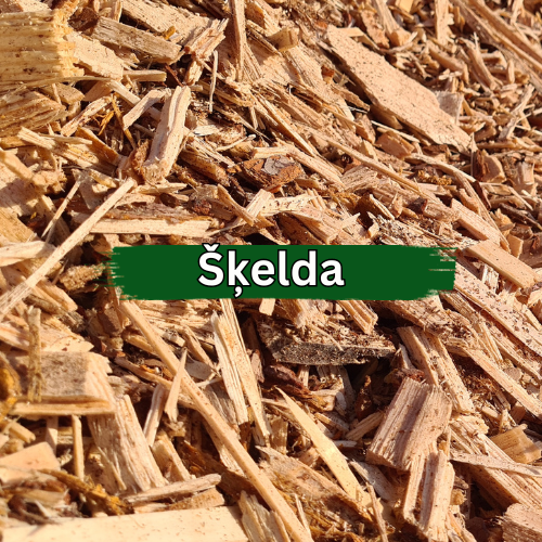 Šķelda