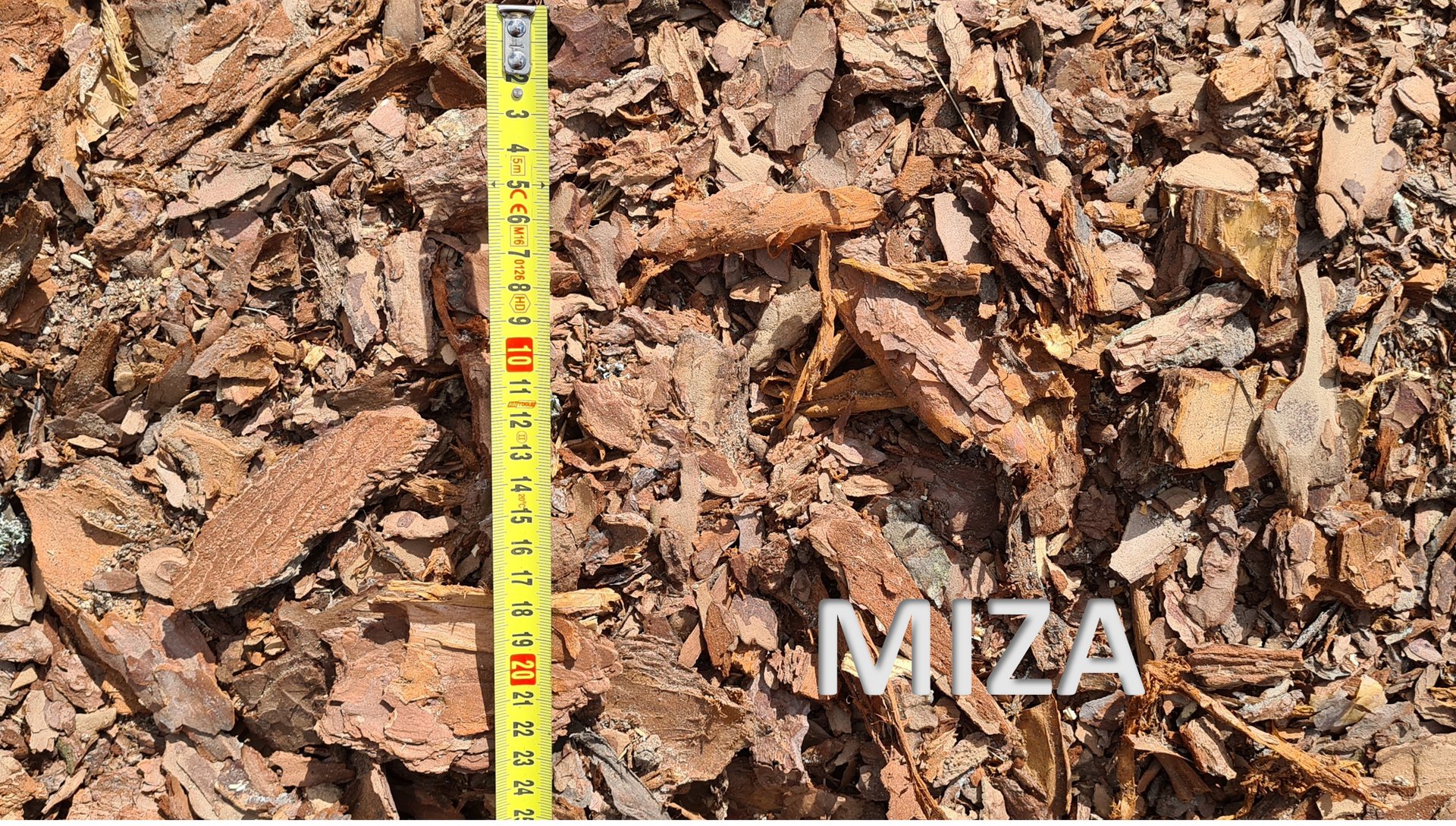 Priedes miza
