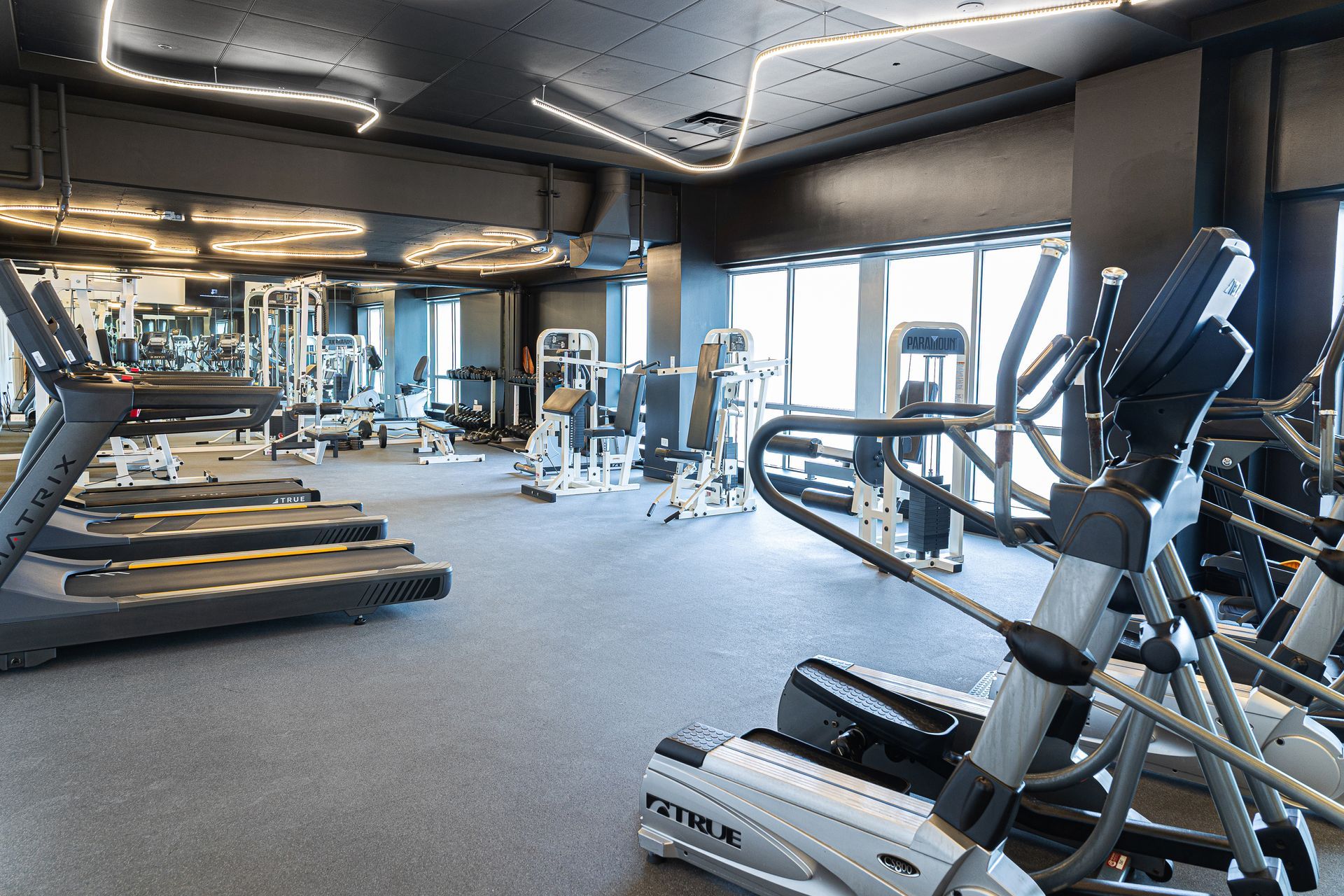Gym with exercise machines: treadmills, ellipticals, and weight machines. Gray floor, dark ceiling, and large windows.