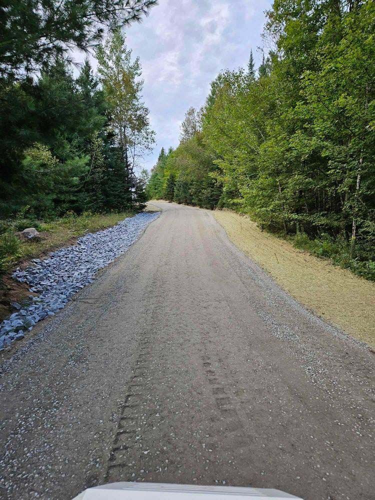 A dirt road going through a forest with trees on both sides.