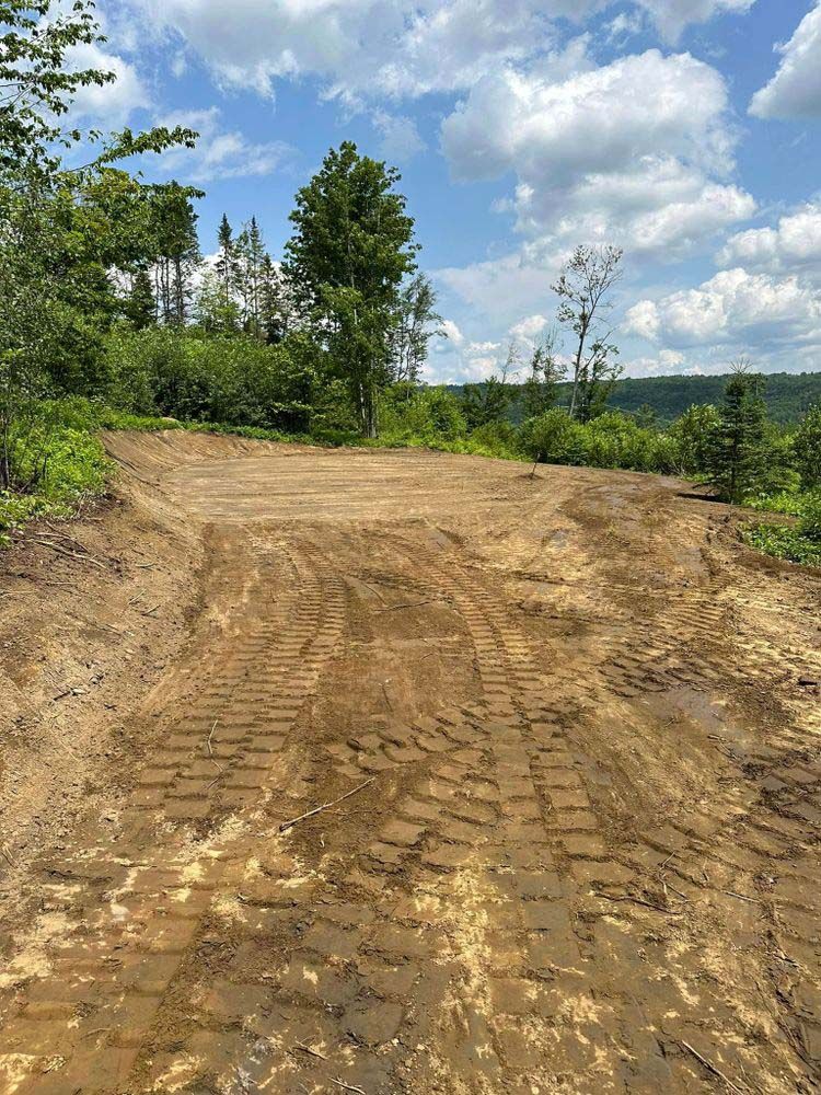 A dirt road in the middle of a forest on a sunny day.