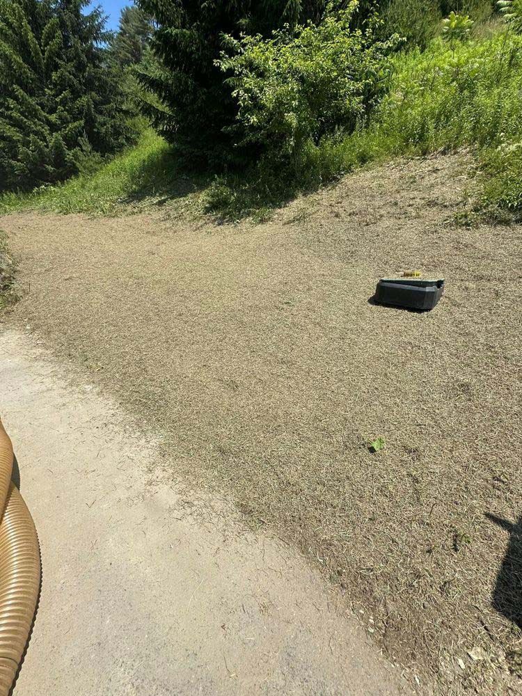 A tire is laying on the ground on the side of a dirt road.