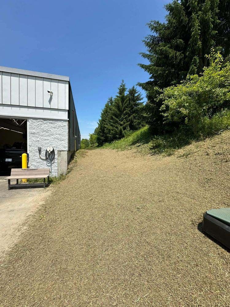 A gravel road leading to a building with trees in the background.