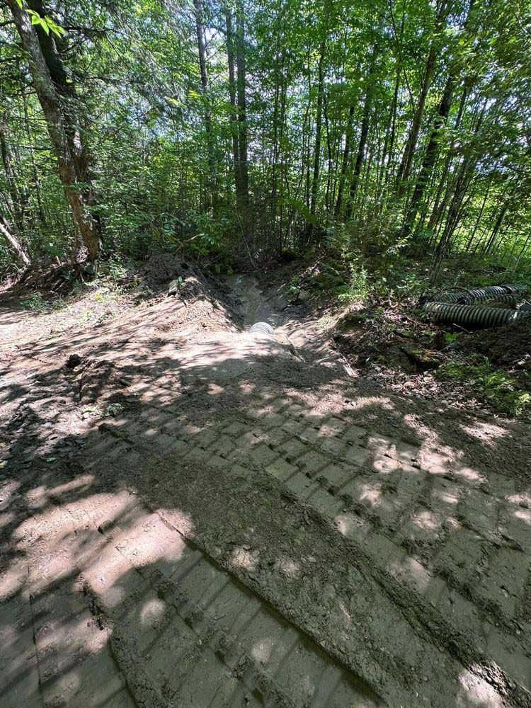 A dirt road in the middle of a forest with tire tracks.