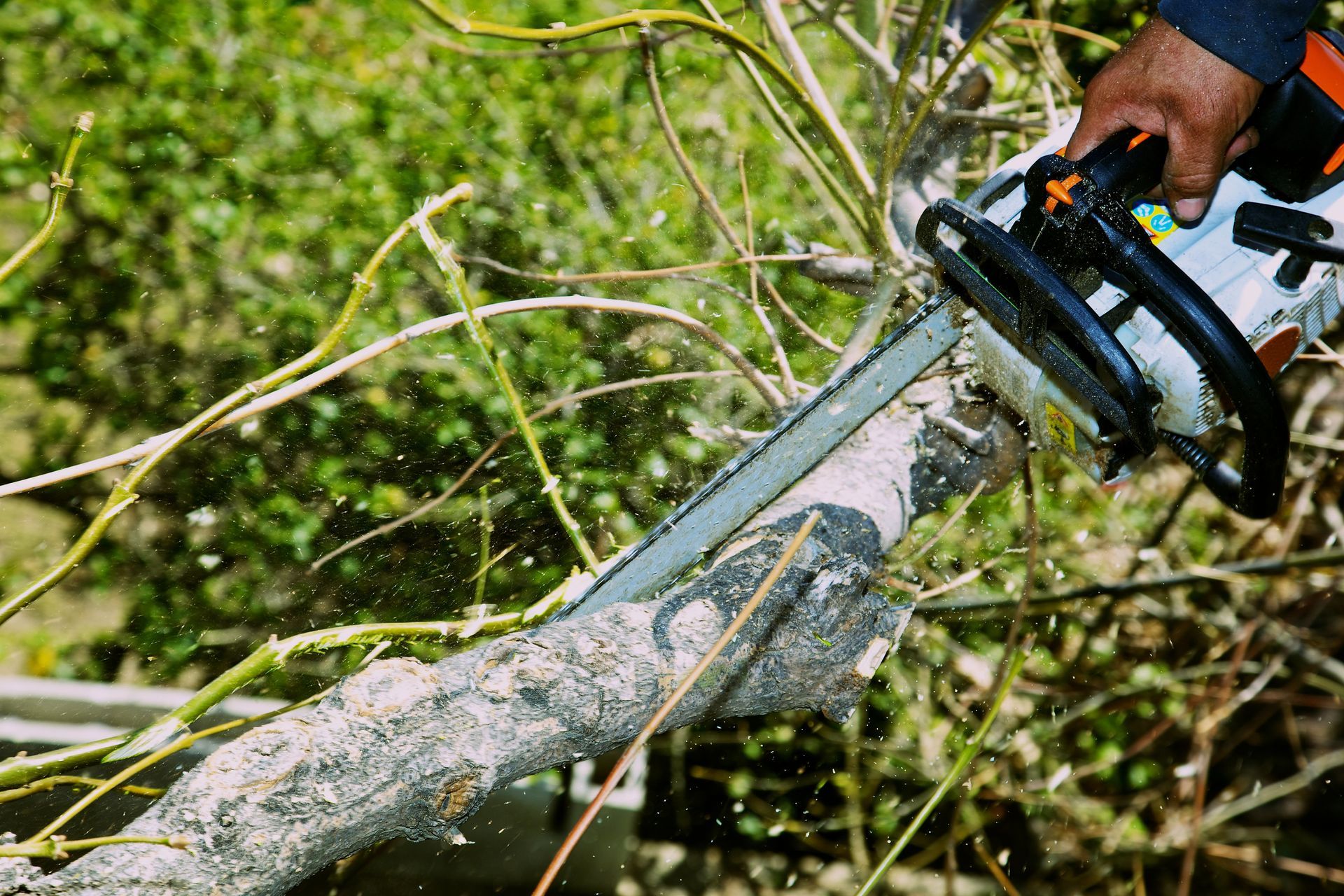 Tree Cutting Service