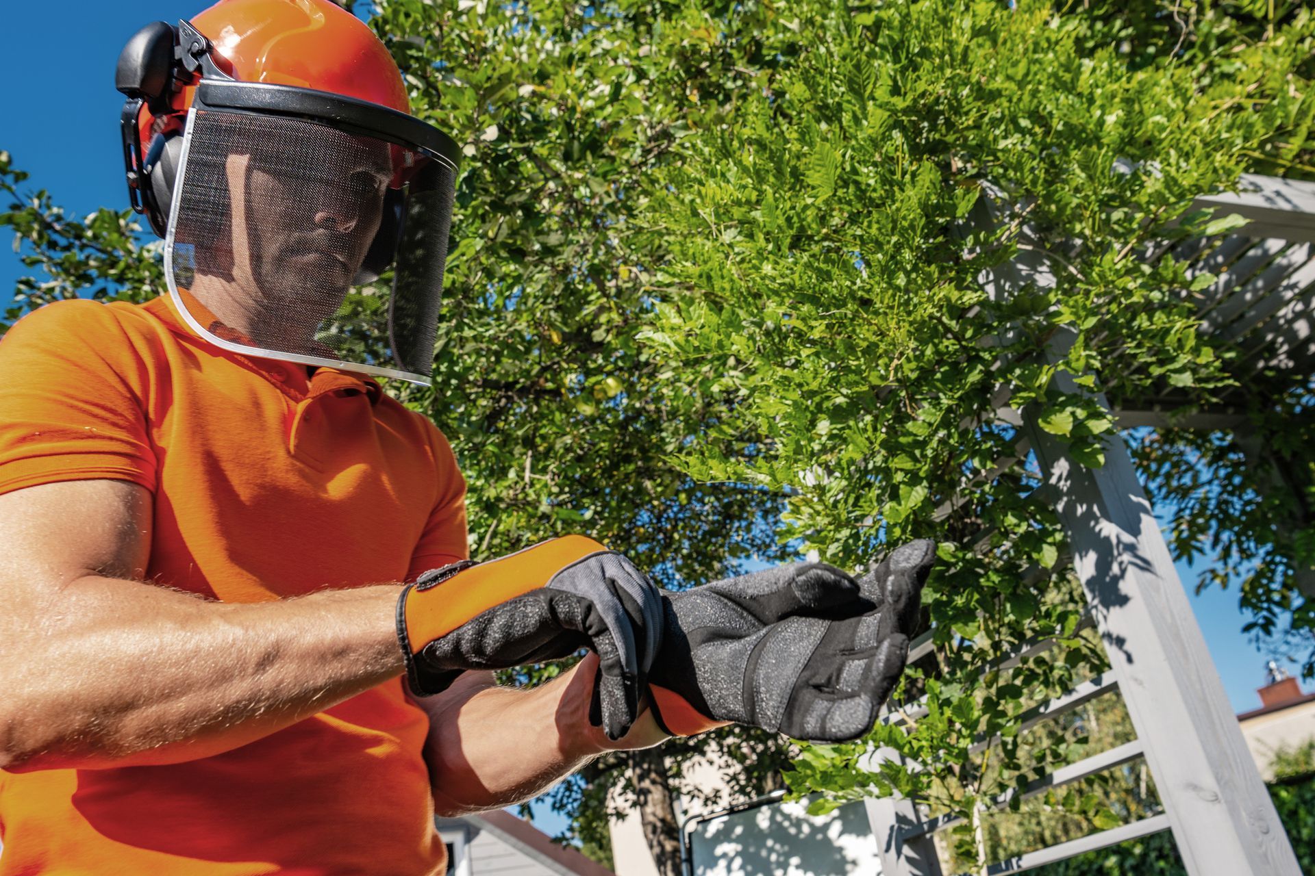 Tree Trimming Service
