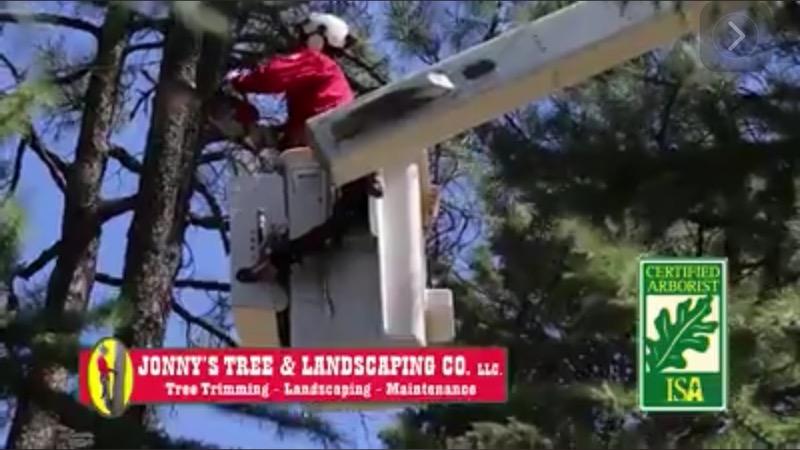 Commercial Tree Care — Prescott, AZ — Jonny's Tree & Landscaping Co., LLC