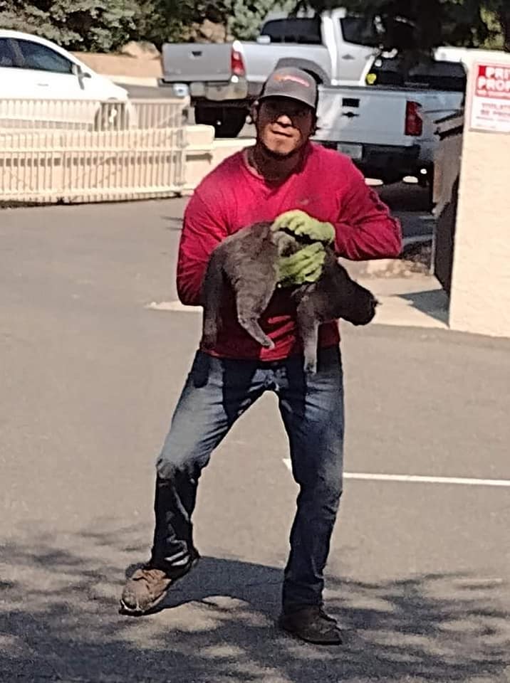 Man Holding A Cat — Prescott, AZ — Jonny's Tree & Landscaping Co., LLC