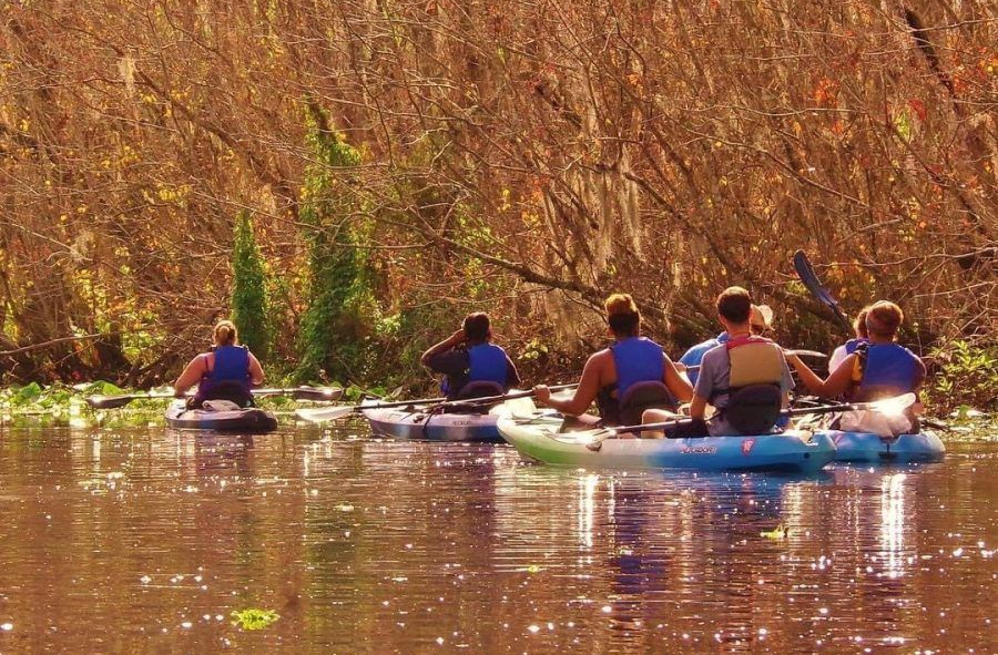 People kayaking in a river with autumn foliage.