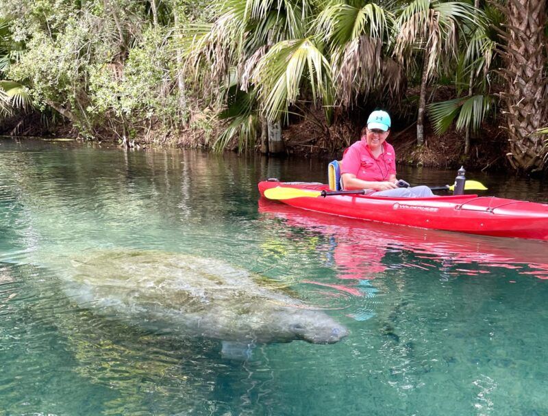 Woman in red kayak near manatee in clear water. Palm trees in background.