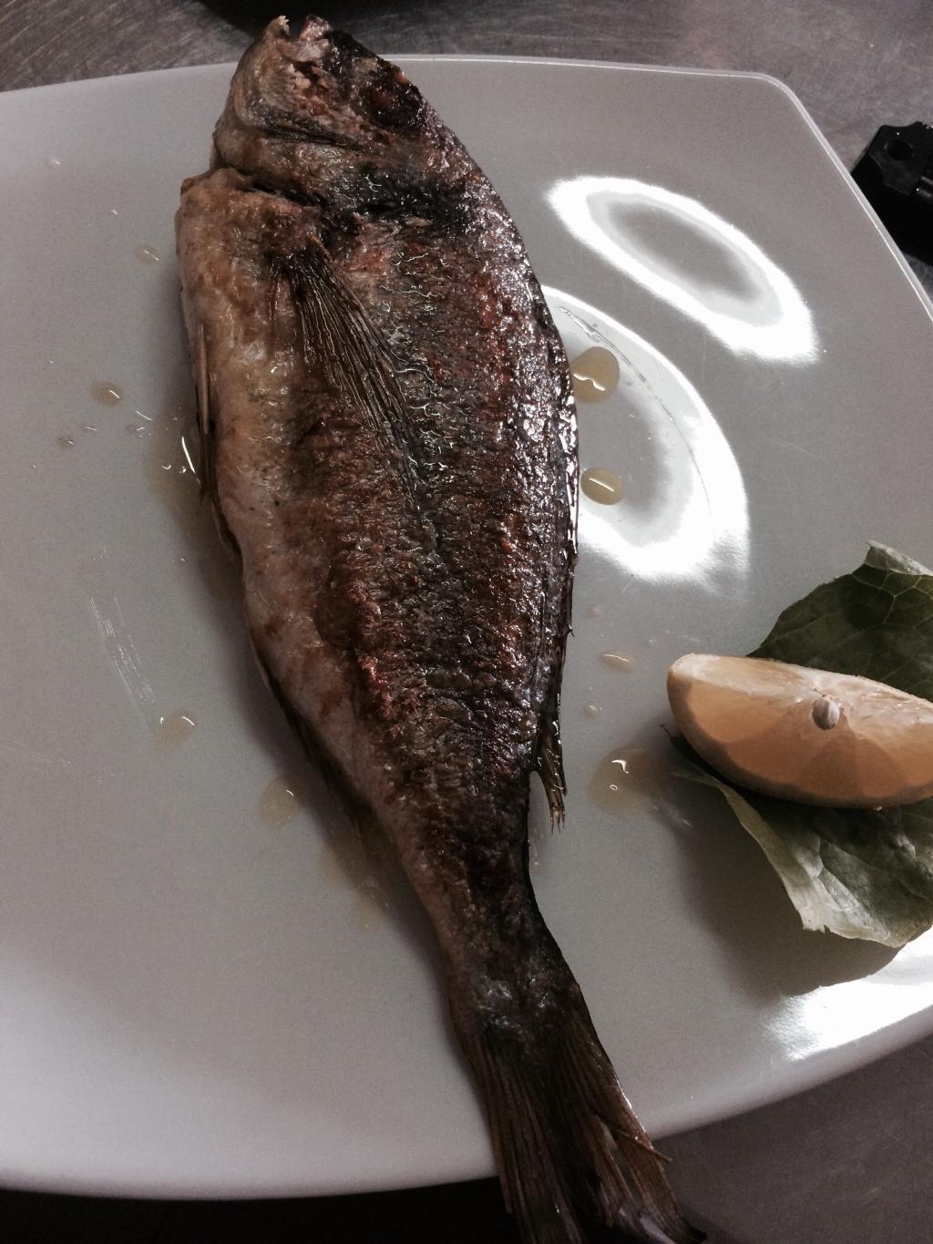 piatti pesce fresco